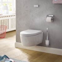 Ершик для унитаза Emco Art 1615 001 02 Хром