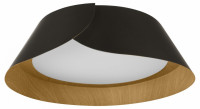 Накладной светильник Loft it Lane 10370 Black