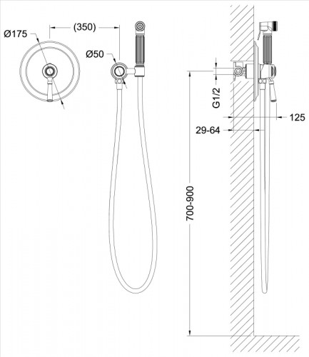 Гигиенический душ со смесителем Timo Arisa 5309/00SM Хром латунь на стену