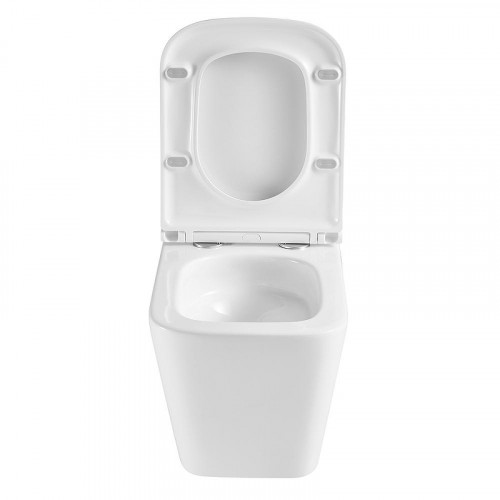 Унитаз Terminus Ватикан 03WM49x34W подвесной цвет Белый с сиденьем Микролифт