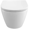 Унитаз с инсталляцией BelBagno Uno-Tor BB5177CH-TOR/SC + WeltWasser WW Marberg 507 10000005949+10000005953 с сиденьем Микролифт с клавишей смыва Хром глянцевый