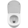 Унитаз с инсталляцией BelBagno Uno-Tor BB5177CH-TOR/SC + WeltWasser WW Marberg 507 10000005949+10000005953 с сиденьем Микролифт с клавишей смыва Хром глянцевый