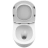 Унитаз с инсталляцией BelBagno Uno-Tor BB5177CH-TOR/SC + WeltWasser WW Marberg 507 10000005949+10000005953 с сиденьем Микролифт с клавишей смыва Хром глянцевый