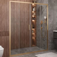 Душевая дверь Cezares Molveno 170 MOLVENO-BF-2-170-C-BORO-IV профиль Брашированное золото стекло прозрачное