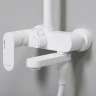 Душевая система WasserKRAFT A185.163.155.WM Белая матовая латунь на стену