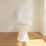 Унитаз компакт Villeroy&Boch Hommage 666210R1 без бачка и сиденья