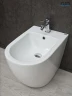 Биде Gid Convexo BDN-36 21106 цвет Белый