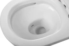 Унитаз подвесной Cezares Вектор (Stylus) CZR-6601-TH-TOR/SC цвет Белый с сиденьем Микролифт