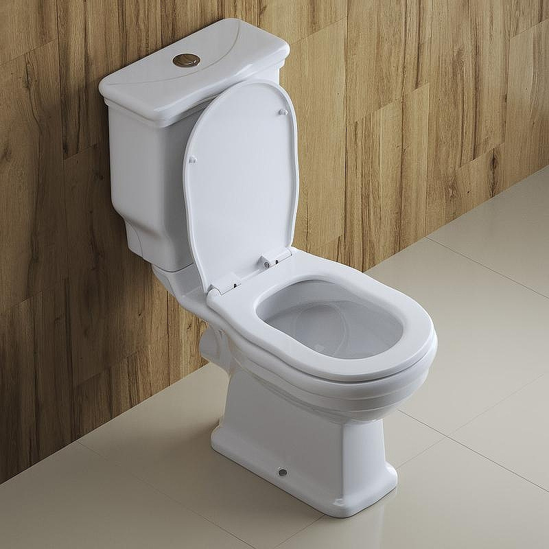 Унитаз-компакт BelBagno Boheme BB115CPR/BB115SC с бачком и сиденьем Микролифт