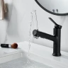 Смеситель для раковины Raffine F281H цвет Черный