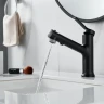 Смеситель для раковины Raffine F281H цвет Черный