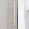 Душевая дверь Veconi Premium Alassio G 120 AL-120-00-G-C4 профиль цвет Брашированное золото стекло прозрачное осветленное