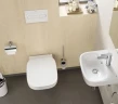 Унитаз Roca Debba 346997000 подвесной без сиденья