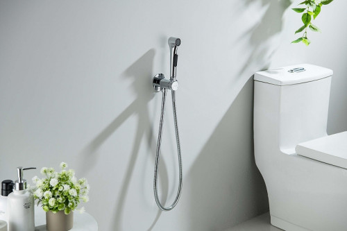 Гигиенический душ со смесителем Aquatek Европа AQ1020CR цвет Хром