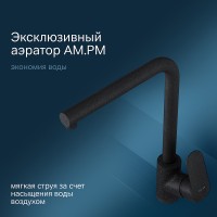 Смеситель для кухни AM.PM Like F8005022 Черный матовый латунь
