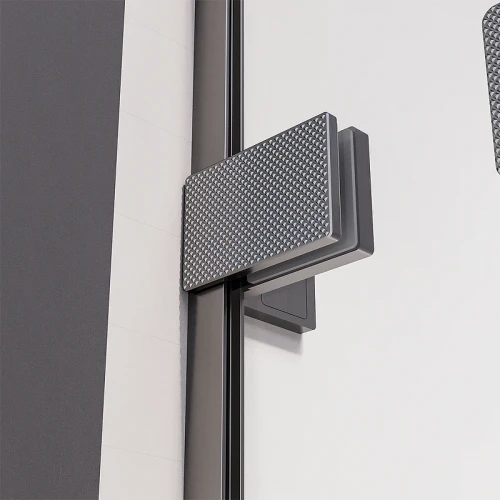 Душевая дверь Veconi Premium Alassio GR 120 AL-120-00-GR-C4 профиль цвет Брашированный графит стекло прозрачное осветленное