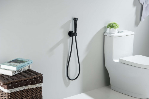 Гигиенический душ со смесителем Aquatek Европа AQ1020MB цвет Черный матовый