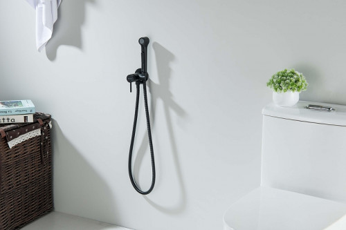 Гигиенический душ со смесителем Aquatek Европа AQ1020MB цвет Черный матовый