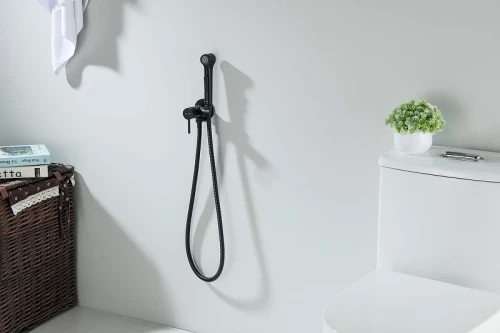 Гигиенический душ со смесителем Aquatek Европа AQ1020MB цвет Черный матовый