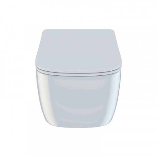 Унитаз Iddis Bridge BRIRDSEi25 подвесной с сиденьем Микролифт фарфор подвесной