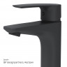 Смеситель для раковины AM.PM Gem F90A02122 Черный латунь