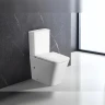 Унитаз компакт Terminus Ватикан 12F61x36W цвет Белый с бачком и сиденьем Микролифт