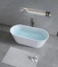 Ванна из искусственного камня Timo Elissa 170x80 ELISSA1700 цвет Белый матовый