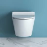Унитаз BelBagno Sfera-R BB046CHR подвесной без сиденья фаянс подвесной