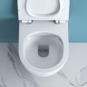 Унитаз BelBagno Sfera-R BB046CHR подвесной без сиденья фаянс подвесной
