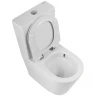 Унитаз компакт BelBagno Flay-Tor BB2149CP-TOR без бачка и сиденья фаянс напольный
