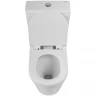 Унитаз компакт BelBagno Flay-Tor BB2149CP-TOR без бачка и сиденья фаянс напольный