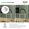 Смеситель для кухни Iddis Ace ACEMGFFi05 Золото матовое латунь