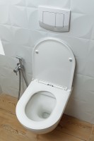 Унитаз Alcora Encanto LT-046E-R 49530 подвесной с сиденьем Микролифт