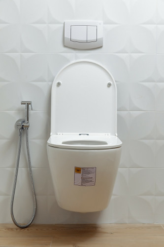 Унитаз Alcora Encanto LT-046E-R 49530 подвесной с сиденьем Микролифт