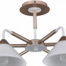 Люстра на штанге Arti Lampadari Ribera Ribera E 1.1.6 CW