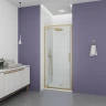 Душевая дверь Veconi Ottimo 70 OP30G-70-01-C9 профиль Золото брашированное стекло прозрачное