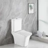 Унитаз компакт Azario Avero AZ-1213A-G с бачком и сиденьем Микролифт