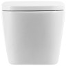 Унитаз BelBagno Albano BB120CHR/BB120SC подвесной с сиденьем Микролифт фаянс подвесной
