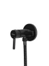 Гигиенический душ со смесителем Wisent WG5398B-2 цвет Черный