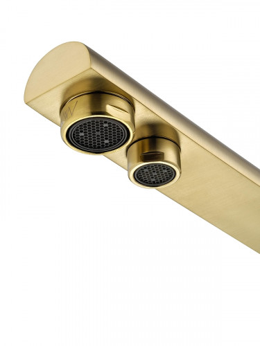 Смеситель для кухни Wonzon &amp; Woghand WW-88458003-BG цвет Брашированное золото