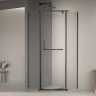 Душевой уголок RGW Passage PA-081B 120x120 35088122-14 профиль Черный стекло прозрачное