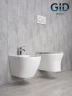 Унитаз Gid Concavo Tr2101 62232Y подвесной цвет Белый с сиденьем Микролифт