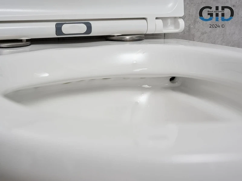 Унитаз Gid Concavo Tr2101 62232Y подвесной цвет Белый с сиденьем Микролифт