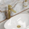 Смеситель для раковины WasserKRAFT Neckar 2103H Золото глянцевое латунь