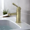 Смеситель для биде Aquatek Классик AQ1518PG Полированное золото латунь