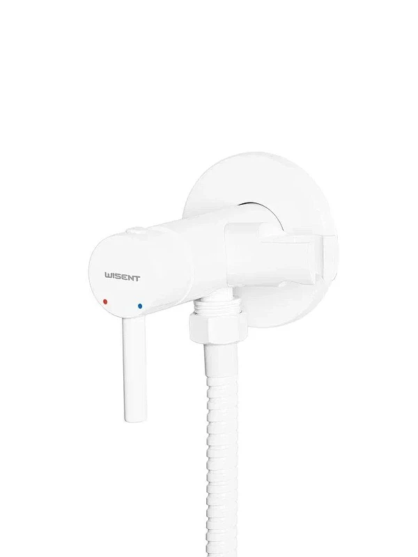 Гигиенический душ со смесителем Wisent WG5398W-2 цвет Белый