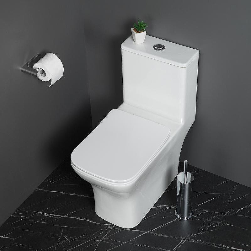 Унитаз-моноблок BelBagno Neon BB8617CPR-MN/SC с сиденьем Микролифт