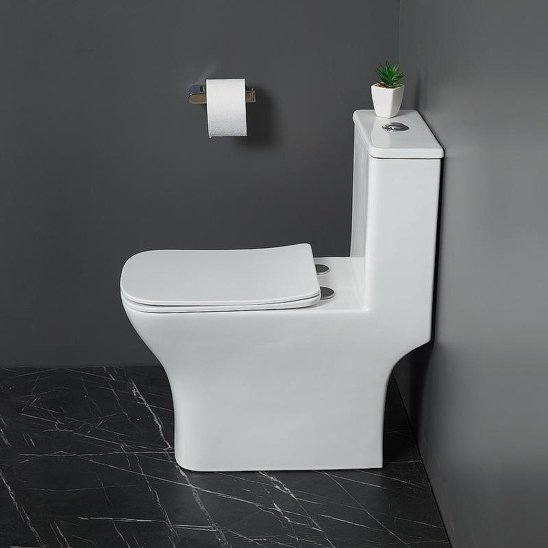 Унитаз-моноблок BelBagno Neon BB8617CPR-MN/SC с сиденьем Микролифт