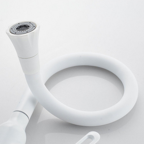 Смеситель для кухни Raffine F303C-1 цвет Белый