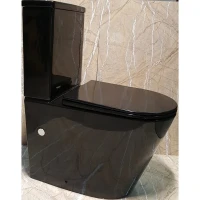 Унитаз компакт CeramaLux NS-2178-18 с бачком и сиденьем Микролифт фаянс напольный